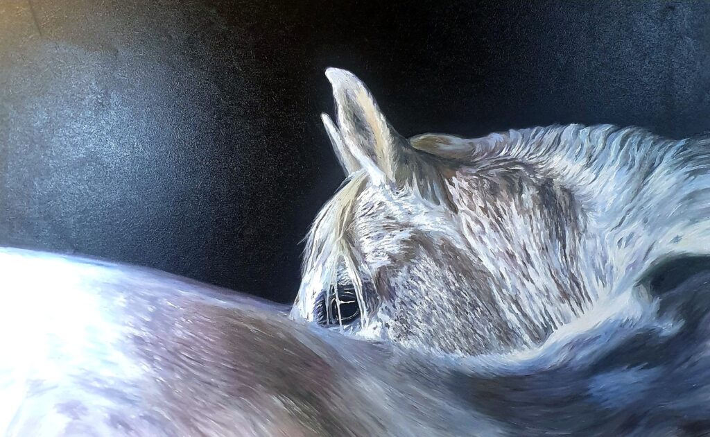 Quadro con cavallo, acrilico e olio su tela, Sandra Petreni Pittura