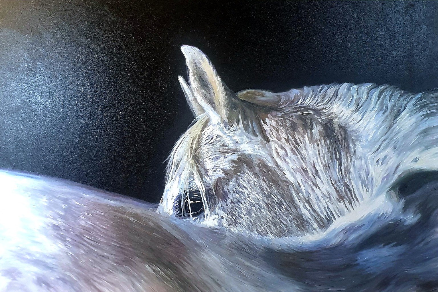 Quadro con cavallo, acrilico e olio su tela, Sandra Petreni Pittura